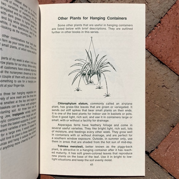 1973 Gardening with Hanging Baskets Rex E. Mabe Vintage Gardening Book Gift Idea - Picture 9 of 12